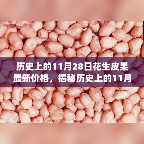 全方位解析，歷史上的11月28日花生皮果最新價格獲取與解讀步驟指南