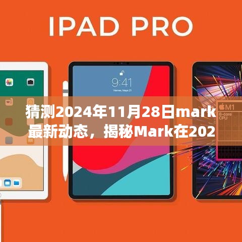 揭秘Mark在2024年11月28日的最新動(dòng)態(tài)，深度解讀成長(zhǎng)與變遷之路