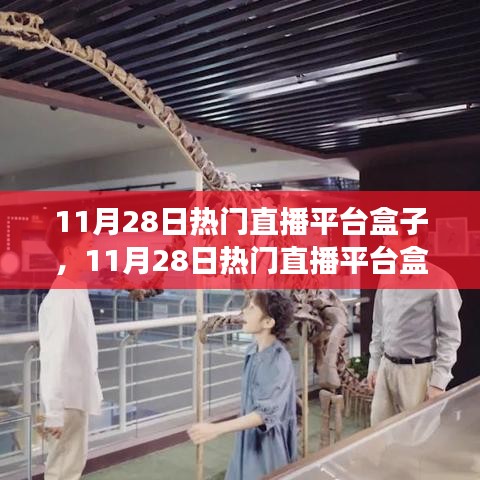 11月28日熱門直播平臺盒子，學(xué)習(xí)、自信與夢想成就之路