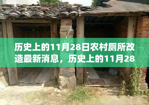 歷史上的11月28日，農(nóng)村廁所改造背后的勵(lì)志故事與變革力量最新消息