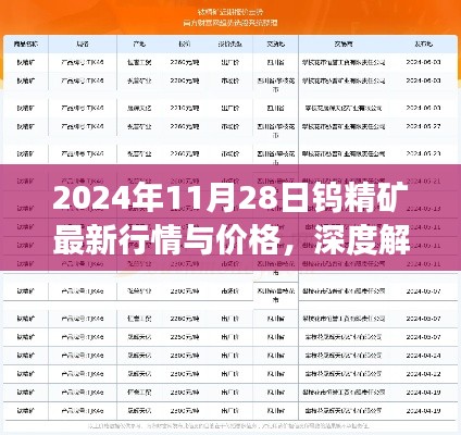 深度解析，2024年11月28日鎢精礦最新行情與價格展望