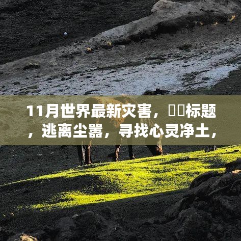 十一月探險之旅，災難邊緣的求生與心靈凈土的追尋
