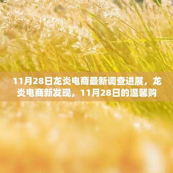 龍炎電商最新調(diào)查進(jìn)展揭秘，溫馨購(gòu)物日常故事與最新發(fā)現(xiàn)