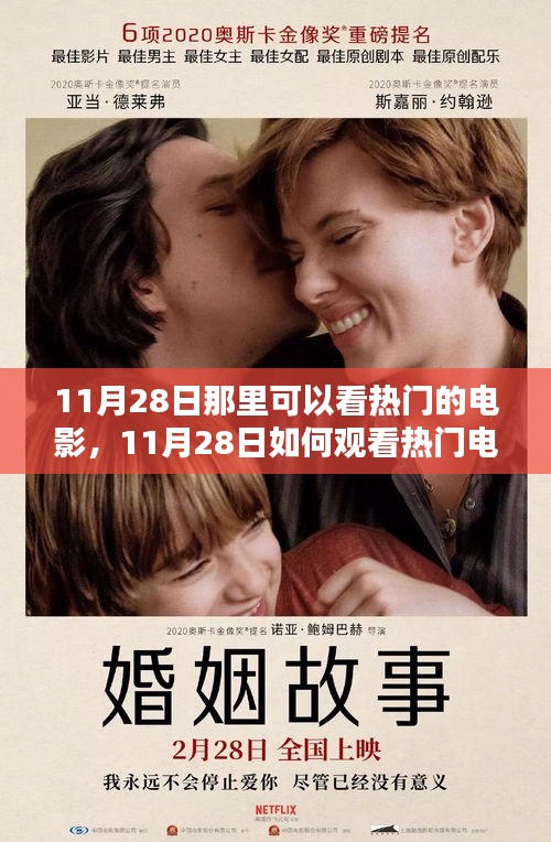 11月28日觀看熱門電影全攻略，觀影地點與步驟指南