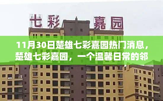 楚雄七彩嘉園鄰里故事會，溫馨日常的熱門消息