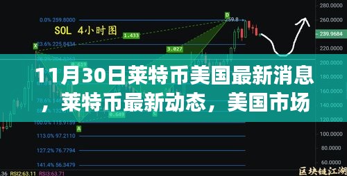 萊特幣美國(guó)最新動(dòng)態(tài)分析，市場(chǎng)趨勢(shì)下的正反觀點(diǎn)探討（11月30日）