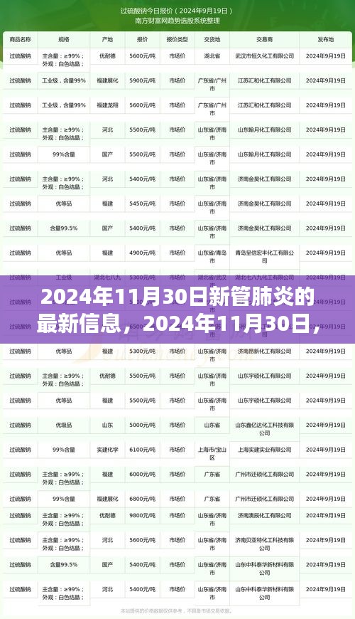 2024年11月30日新管肺炎最新動態(tài)，揭示最新篇章