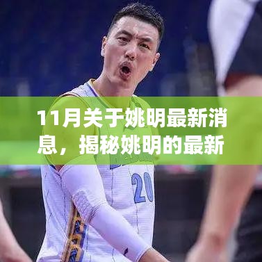 揭秘姚明最新動態(tài)，11月重磅消息全解析