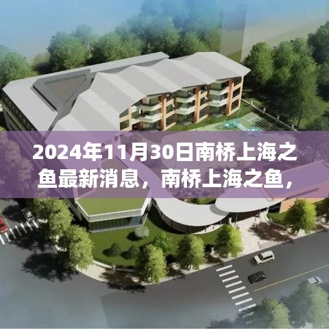 南橋上海之魚，溫馨日常與深厚友情的見(jiàn)證（最新消息，2024年11月30日）