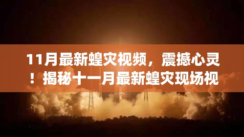震撼心靈！揭秘十一月最新蝗災(zāi)現(xiàn)場實錄視頻