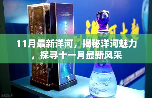 揭秘洋河魅力，十一月最新風(fēng)采展示