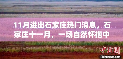 石家莊十一月，自然懷抱中的心靈之旅，進(jìn)出熱門消息