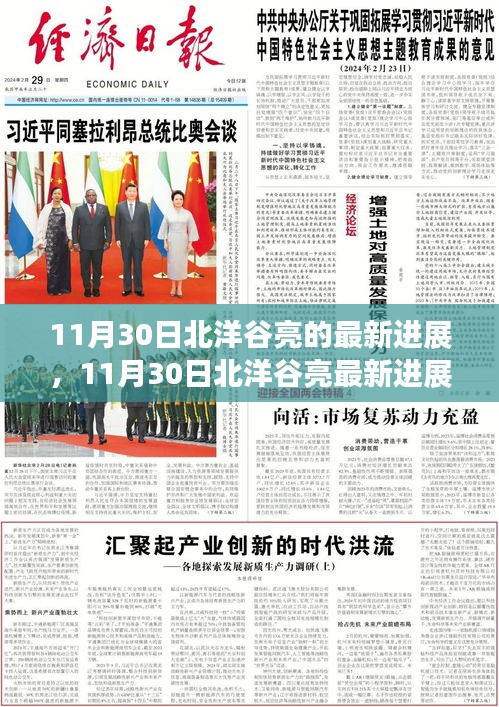 11月30日北洋谷亮最新進(jìn)展報(bào)告，揭秘最新動(dòng)態(tài)與成果展示