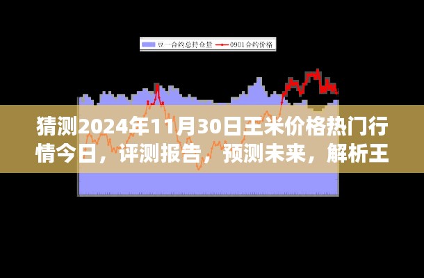 獨家解析，王米價格行情預測至2024年11月30日，今日熱門行情與未來展望評測報告