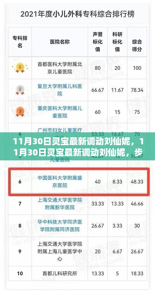 揭秘靈寶最新人事調(diào)動，劉仙妮的晉升之路與技能學(xué)習(xí)指南