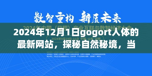 探秘gogort人體奧秘，心靈遇見奇妙旅程的秘境網(wǎng)站（最新更新）