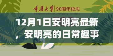 安明亮日常趣事，溫馨時(shí)光回顧，12月1日的精彩瞬間