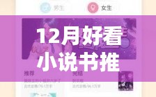 十二月最新熱門小說推薦與深度測評，不容錯過的閱讀盛宴