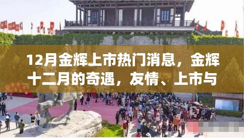 金輝十二月，友情、上市與家的溫馨故事，十二月金輝上市熱議話題