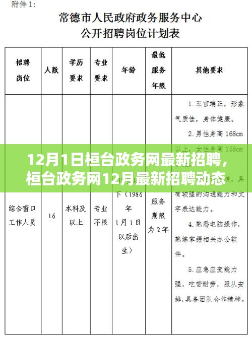 桓臺政務(wù)網(wǎng)12月最新招聘動態(tài)，開啟職業(yè)機(jī)遇之門