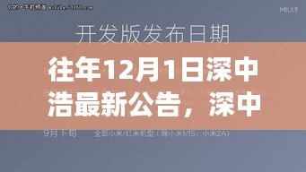 深中浩歷年公告深度解析，背景、事件與領(lǐng)域地位回顧之最新公告解讀