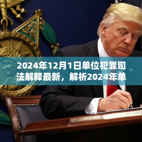 深度解析，2024年單位犯罪司法解釋最新動態(tài)及三大要點探討