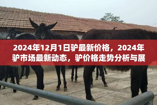 肝膽相照 第12頁