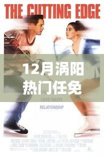 12月渦陽任免人員動態(tài)全解析，熱門任免指南（初學者與進階用戶必備）