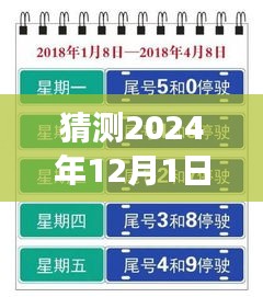 上海未來限行猜想，高架暢想曲與暖心故事，展望2024年12月的新規(guī)定