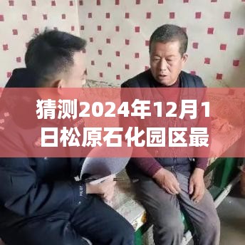 松原石化園區(qū)未來展望，解析松原石化園區(qū)最新動(dòng)態(tài)與未來發(fā)展趨勢（預(yù)測至2024年12月）