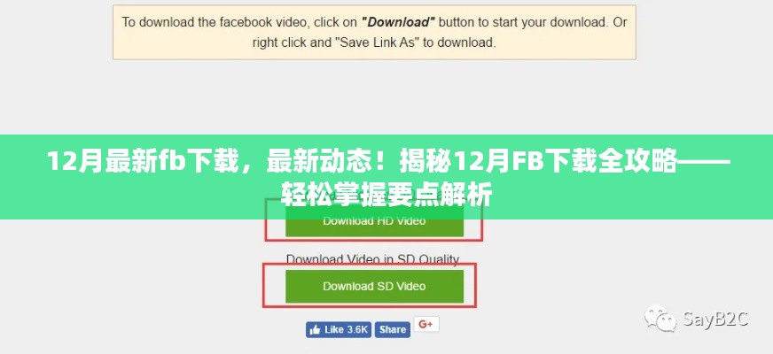 揭秘，最新動態(tài)下的FB下載全攻略，輕松掌握要點解析