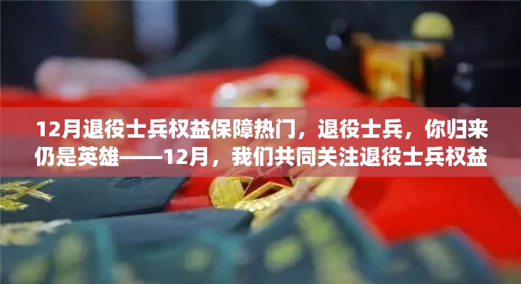關(guān)注退役士兵權(quán)益保障，歸來仍是英雄，共同前行之路在十二月揭曉