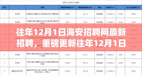 往年12月1日海安招聘網(wǎng)最新職位信息揭秘，求職者福音