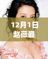 趙薇12月1日最新動態(tài)，溫馨日常與友情陪伴的故事