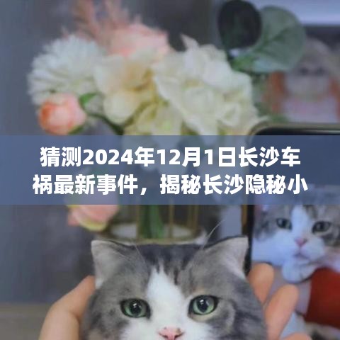 廢寢忘食 第12頁(yè)