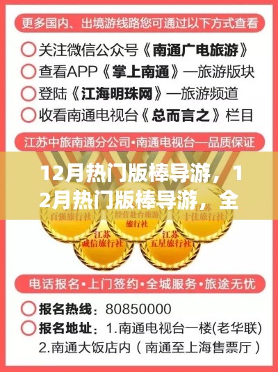 12月熱門版棒導(dǎo)游，全面評(píng)測(cè)與詳細(xì)介紹