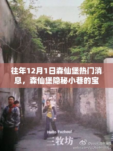 揭秘森仙堡隱秘小巷寶藏，十二月一日獨家新聞與特色小店的非凡魅力