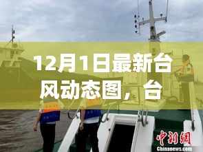 臺風(fēng)逆襲背后的力量與樂觀幽默，最新動態(tài)圖解析
