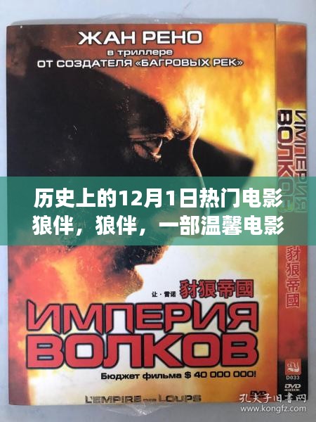 狼伴，一部溫馨電影背后的暖心故事與歷史的回響