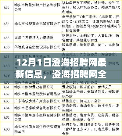 澄海招聘網(wǎng)全新升級，科技引領(lǐng)招聘變革，體驗未來招聘之旅（最新信息）