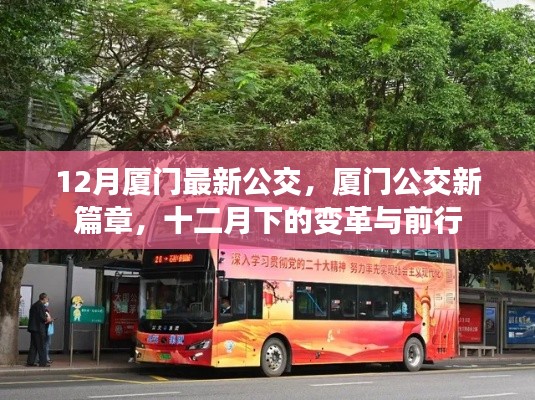 廈門公交新篇章，十二月下的變革與前行之路