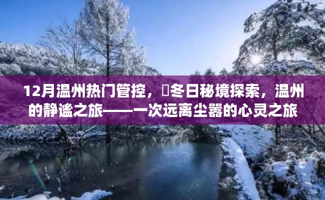 溫州冬季秘境探索，靜謐之旅的心靈之旅，12月熱門管控下的冬日秘境體驗(yàn)