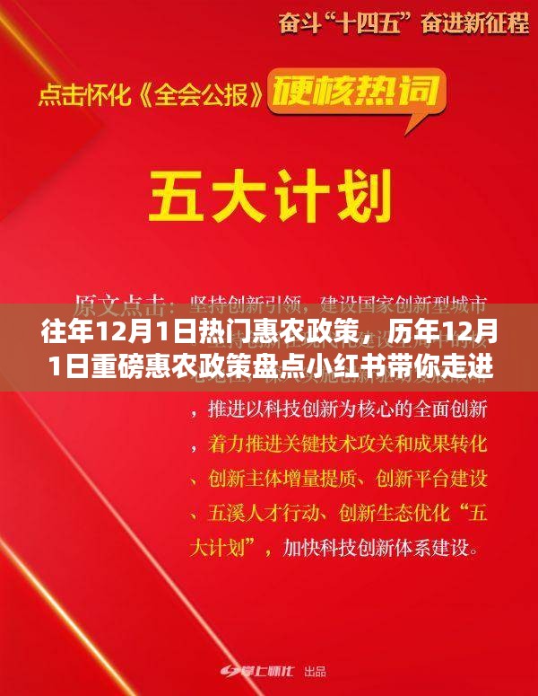 歷年12月1日惠農(nóng)政策盤點，走進(jìn)紅利時代的鄉(xiāng)村福利小紅書分享會