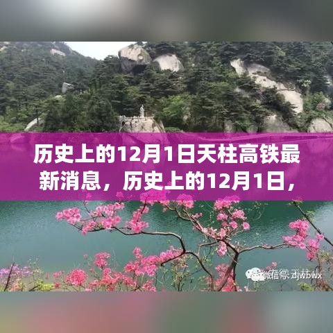 天柱高鐵最新進(jìn)展報(bào)道，歷史上的12月1日最新消息速遞