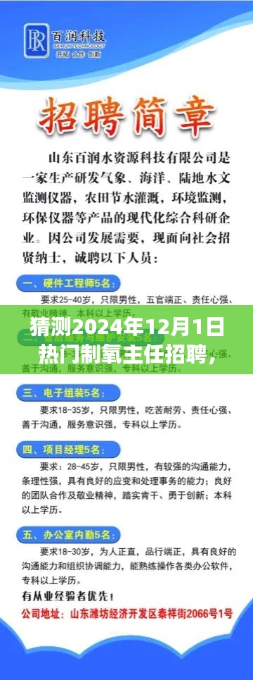 把握未來，挑戰(zhàn)熱門制氧主任崗位，2024年招聘展望與自我超越之路