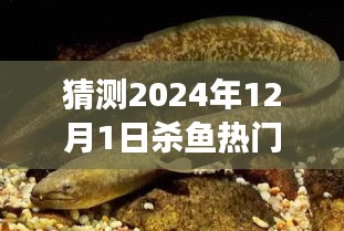 揭秘小巷深處的特色小店，預測未來殺魚熱門套路，味蕾與獵奇的盛宴（XXXX年殺魚新趨勢）
