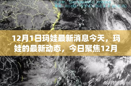 聚焦今日，瑪娃最新動(dòng)態(tài) 12月1日消息