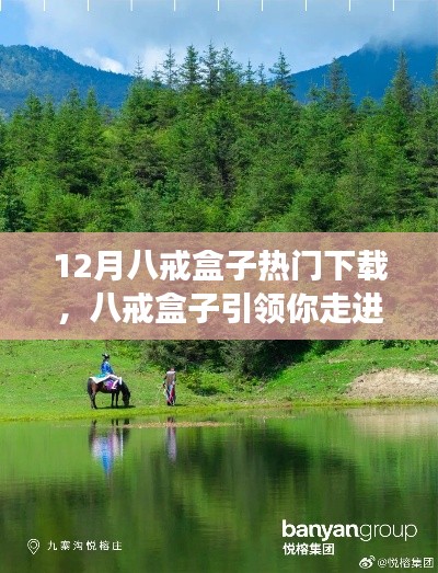 八戒盒子引領(lǐng)心靈之旅，12月熱門下載開啟自然美景探索之旅