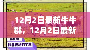 探索潮流社交新領(lǐng)地，最新牛牛群集結(jié)
