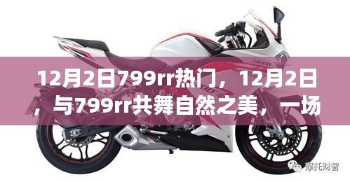 12月2日與799rr共舞自然，奇妙旅行尋找內(nèi)心平靜之旅